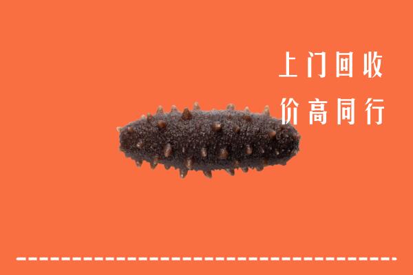 高价求购：衡山县回收海参