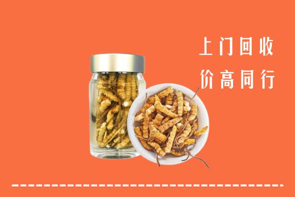 收购行情：衡山县回收冬虫夏草